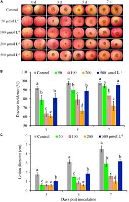 Butylated Hydroxytoluene Induced Resistance Against Botryosphaeria dothidea in Apple Fruit